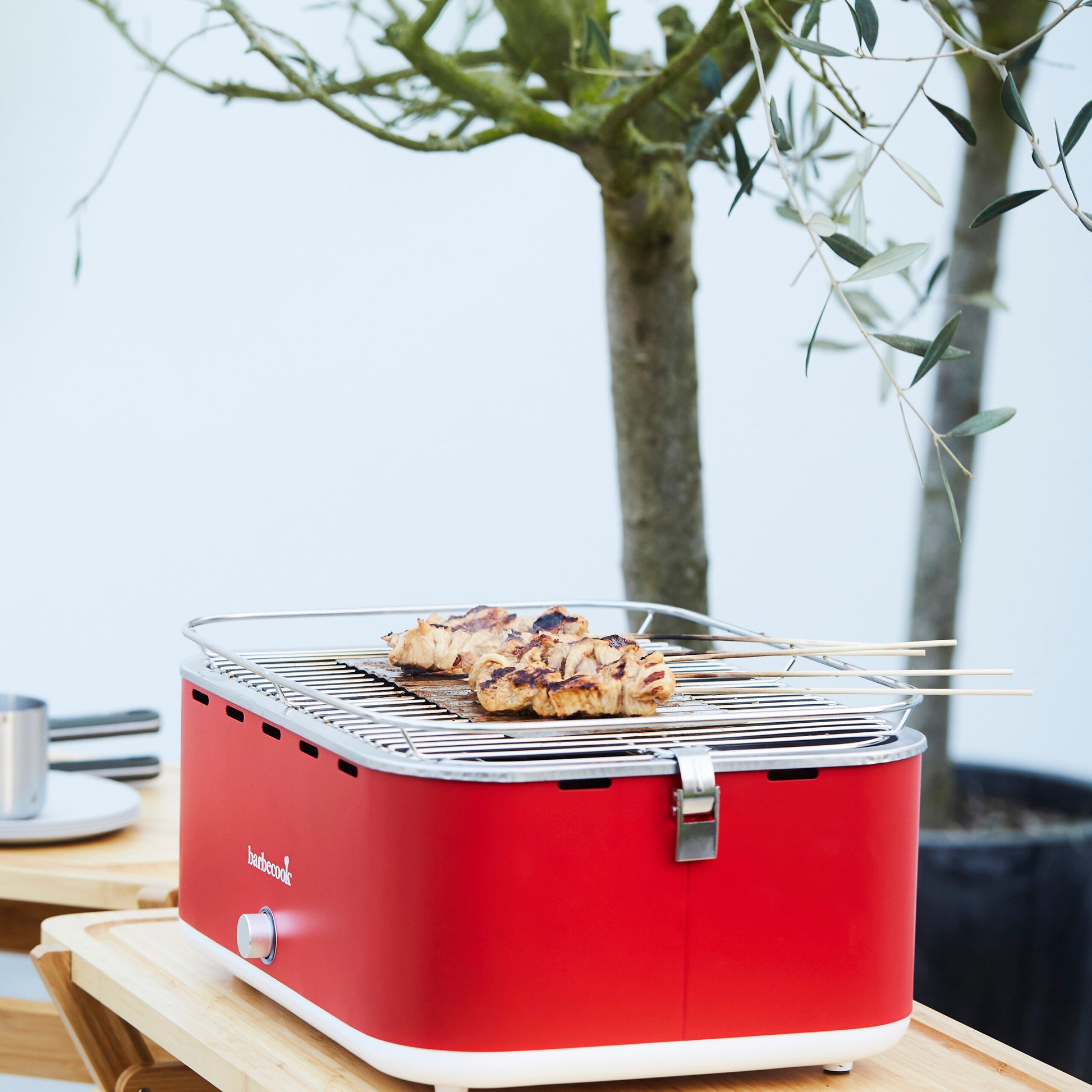 Barbecook Carlo charcoal table grill Chili Pepper 44x33x21cm grill