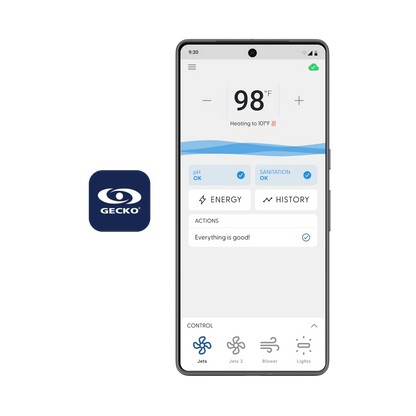 Gecko IN.Touch 3 WiFi Interface Module